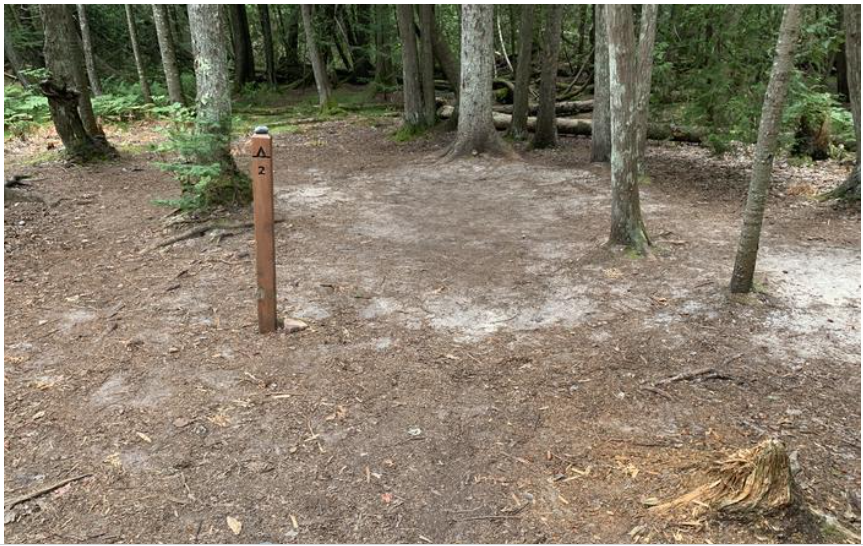 Cleared flat ground in the forests with sparse trees. Brown post with a tent symbol and the number 2