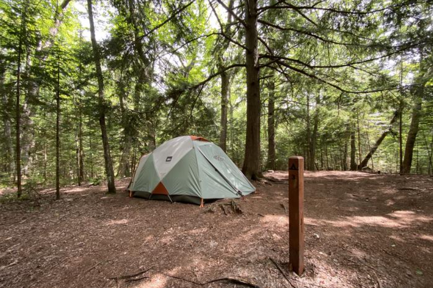 Tent set up in a cleared patch in the middle of a forest. Brown post with tent symbol and #3.