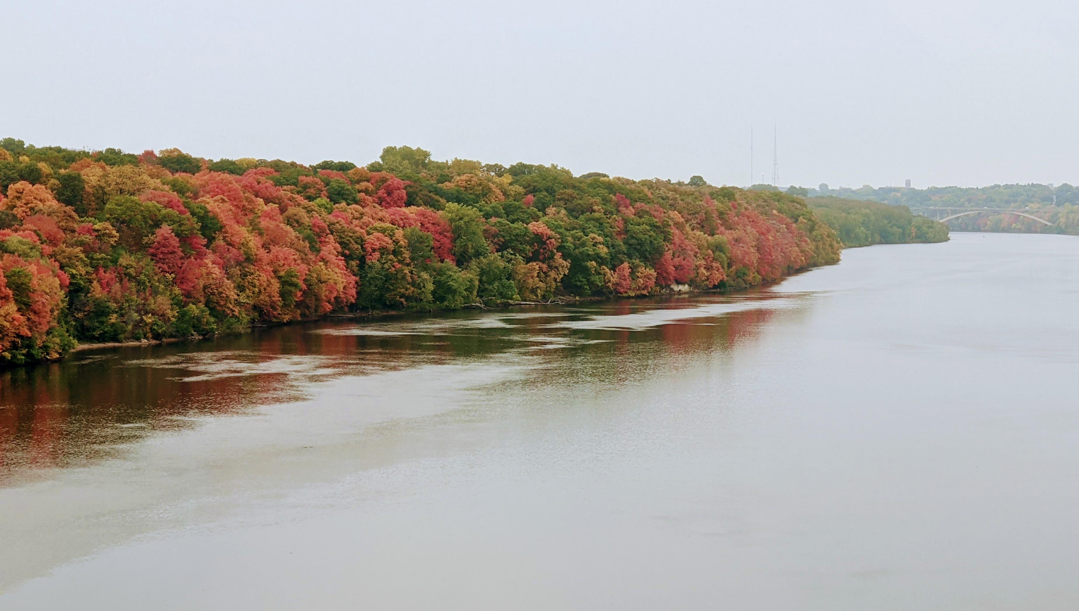 Trees showing fall colors on their leaves along the river.