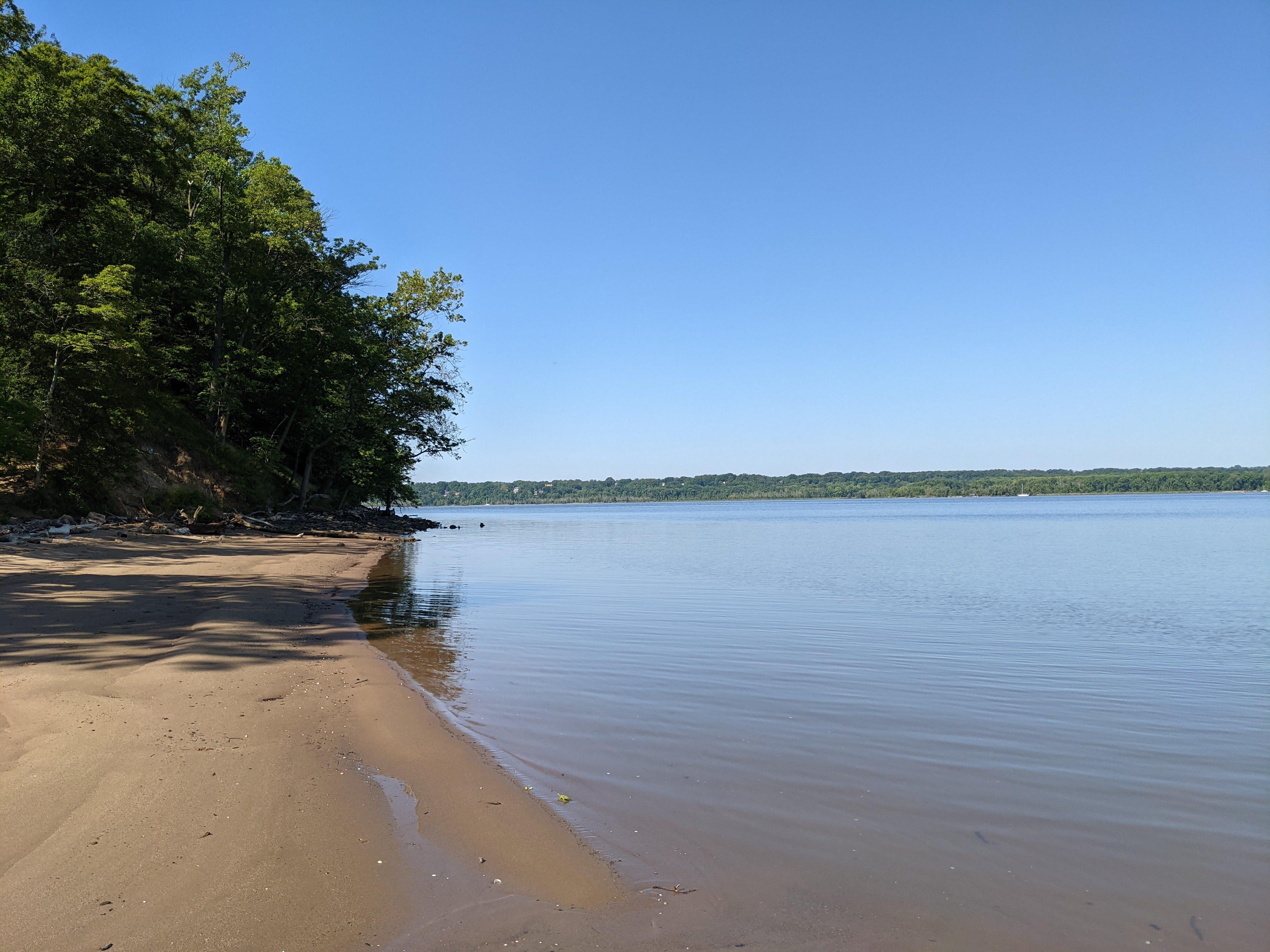 a small sandy beach with trees