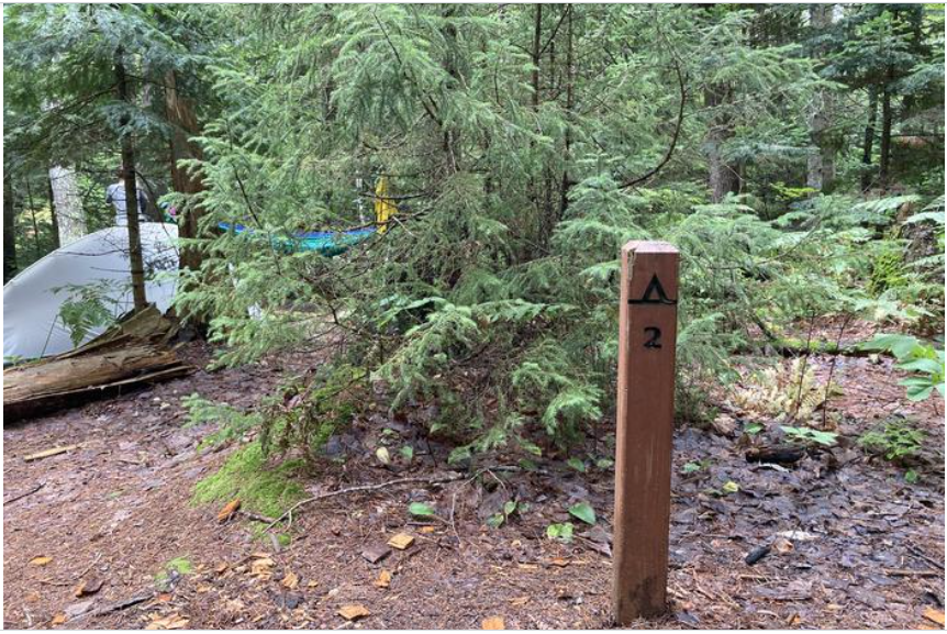 Brown sign with tent symbol and #2. A tent and hammock are visible in between tree branches.