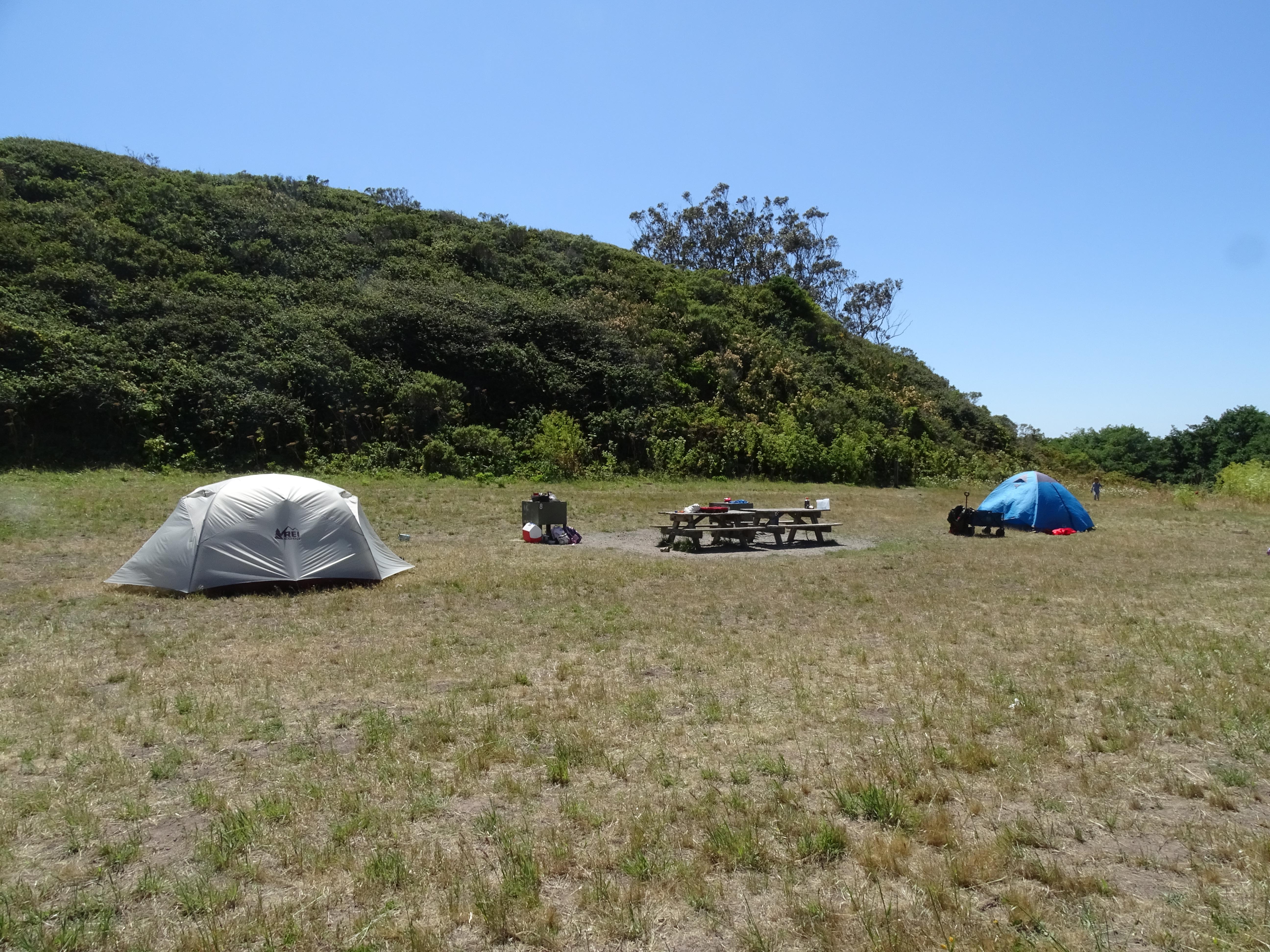 A campsite containing two small tents, two picnic tables, and two food storage lockers.