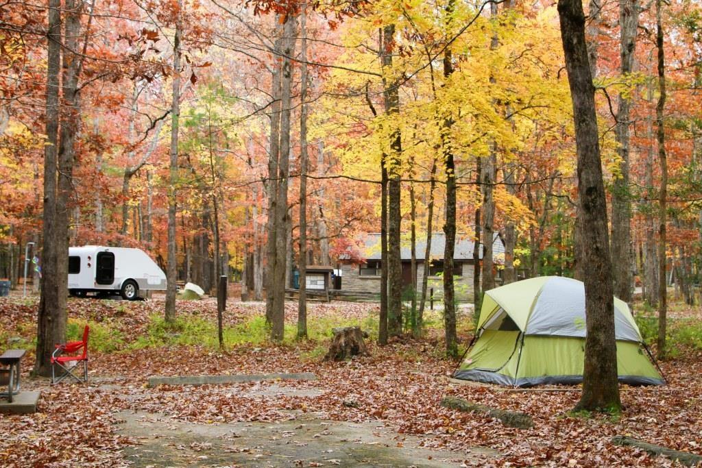Wooded campsite with fall color surrounding a yellow tent.