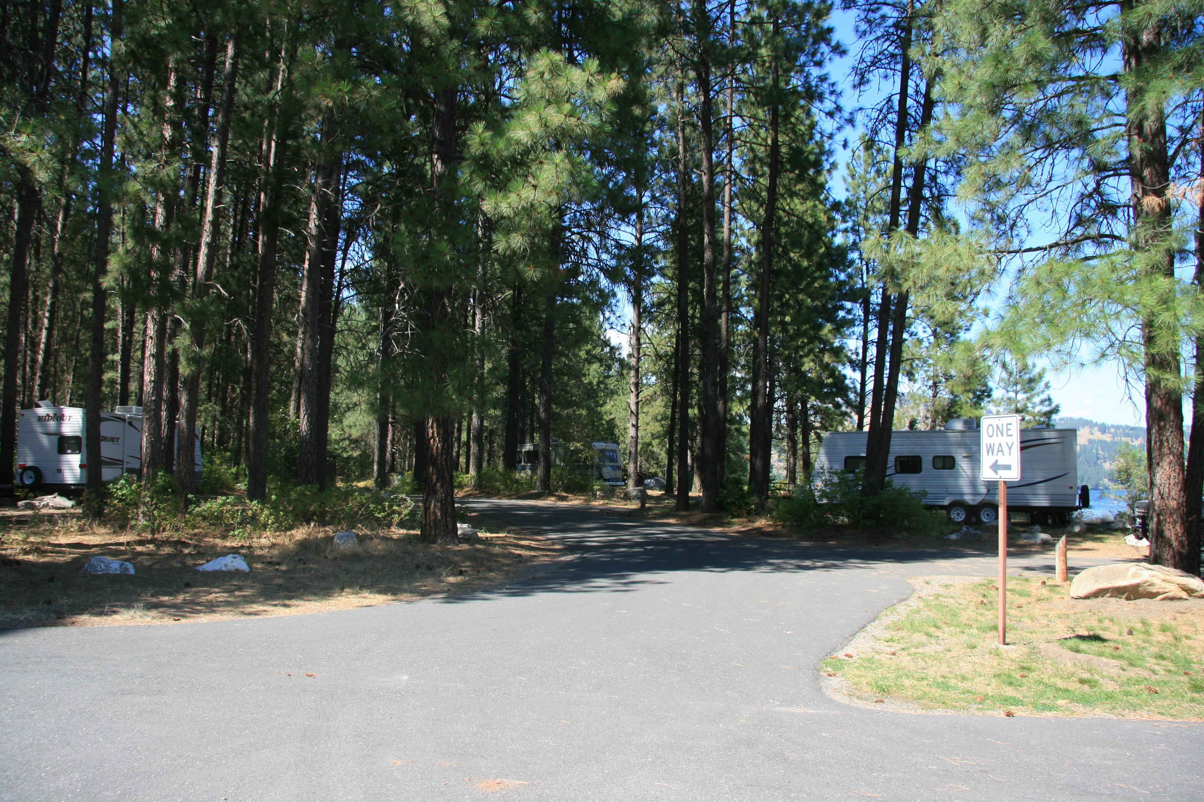 Several paved camping spaces at Snag Cove in the pine trees.