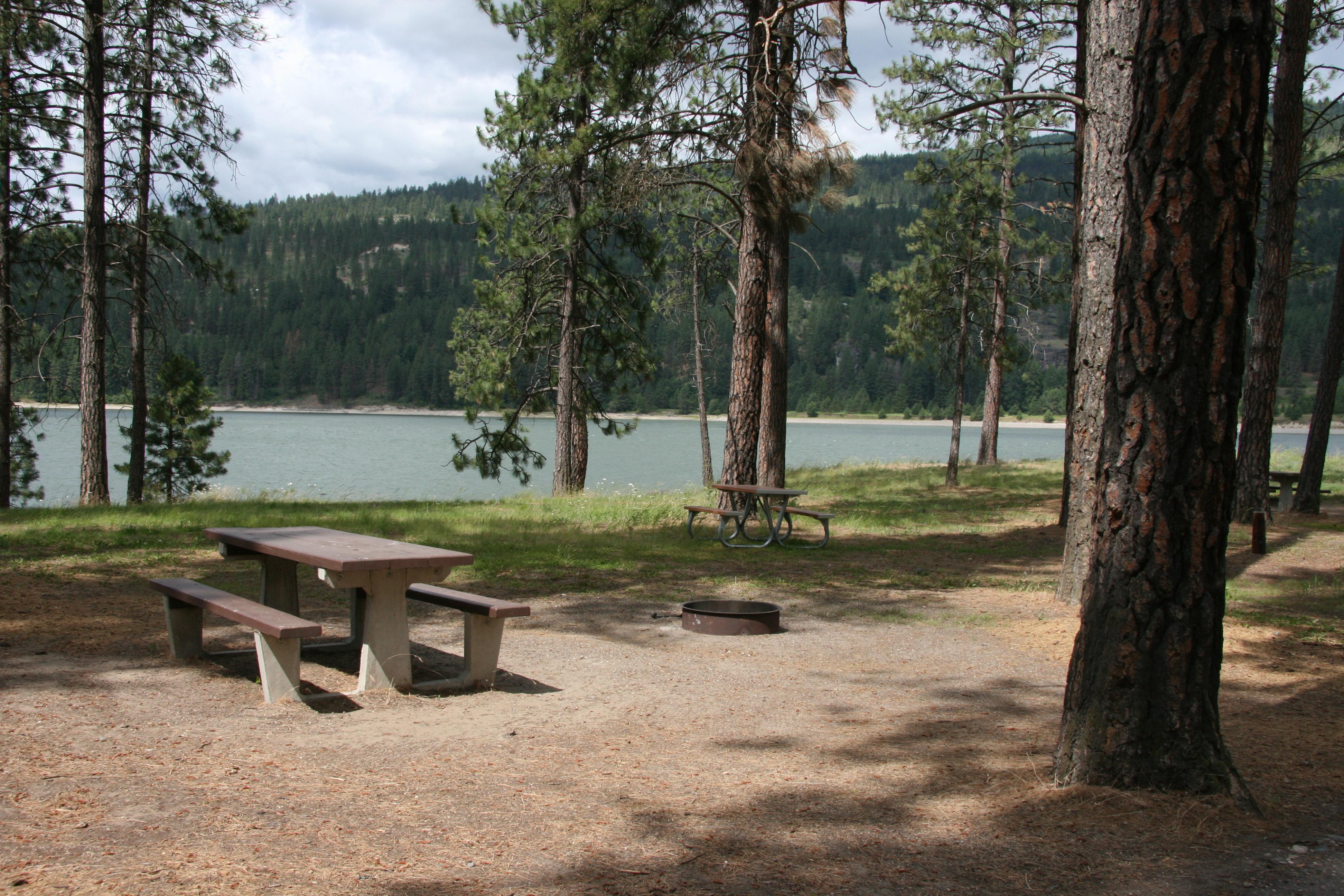 Two picnic tables and a fire ring visible at campsites in the pines, adjacent to the lake shore.