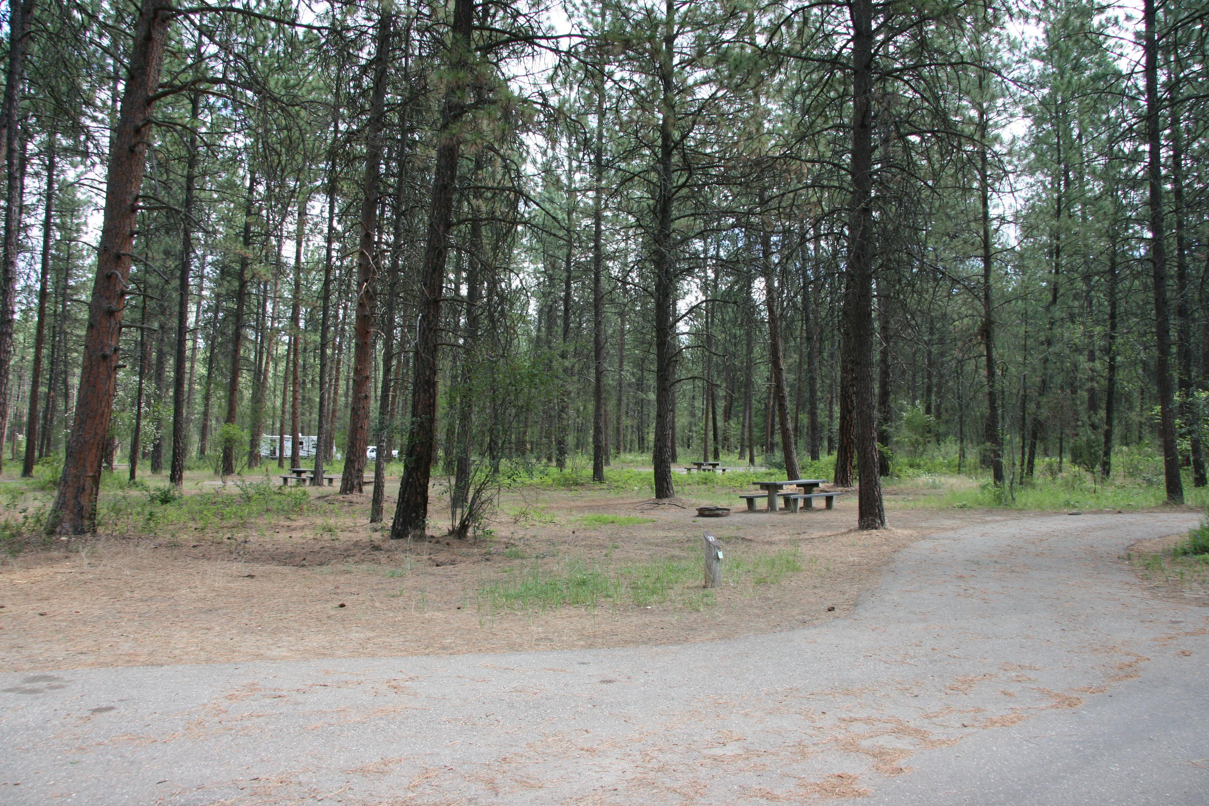 Kettle Falls Campground Lake Roosevelt National Recreation Area (U.S