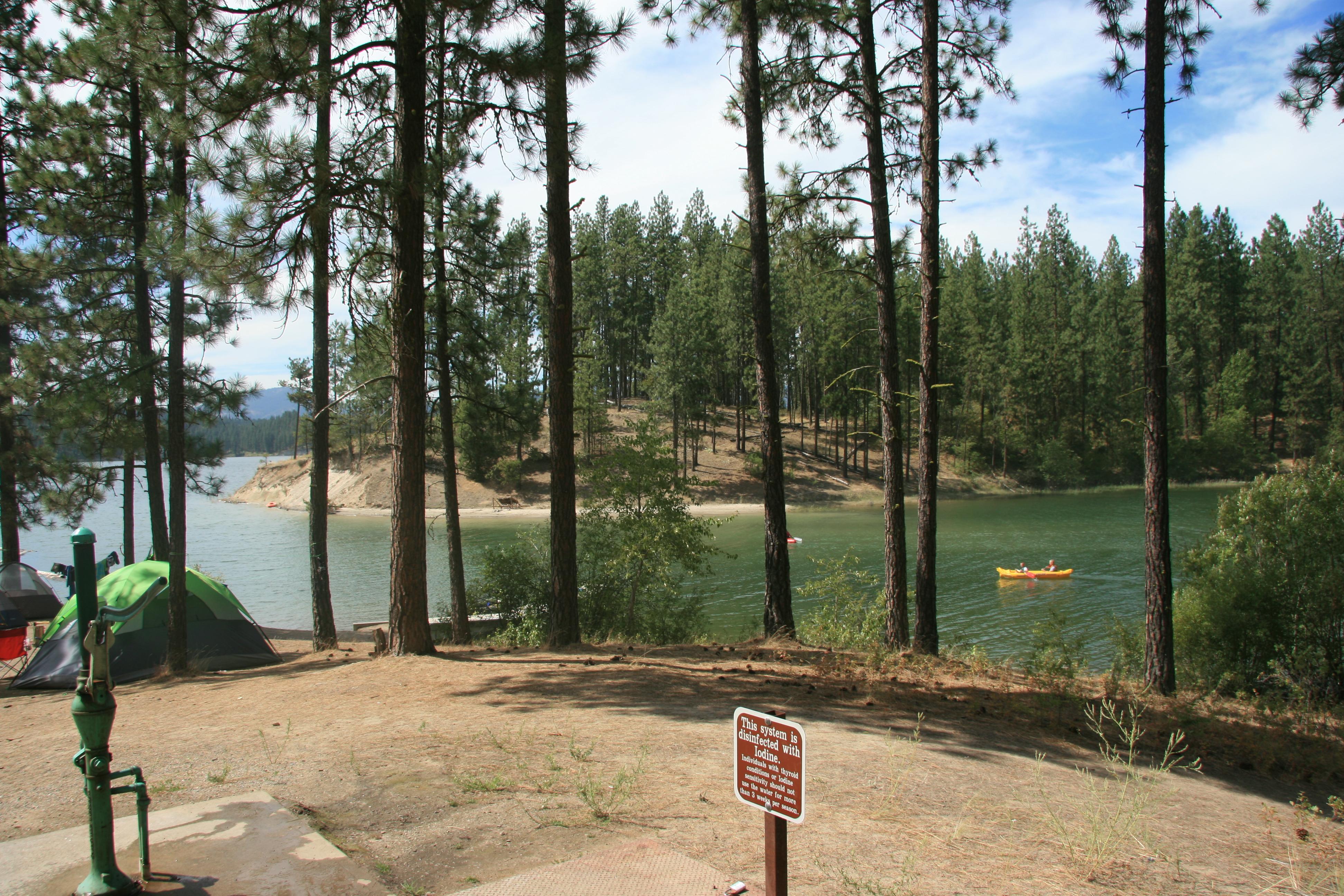 A tent campsite in the pines adjacent to the lake. A canoe moves past beyond.