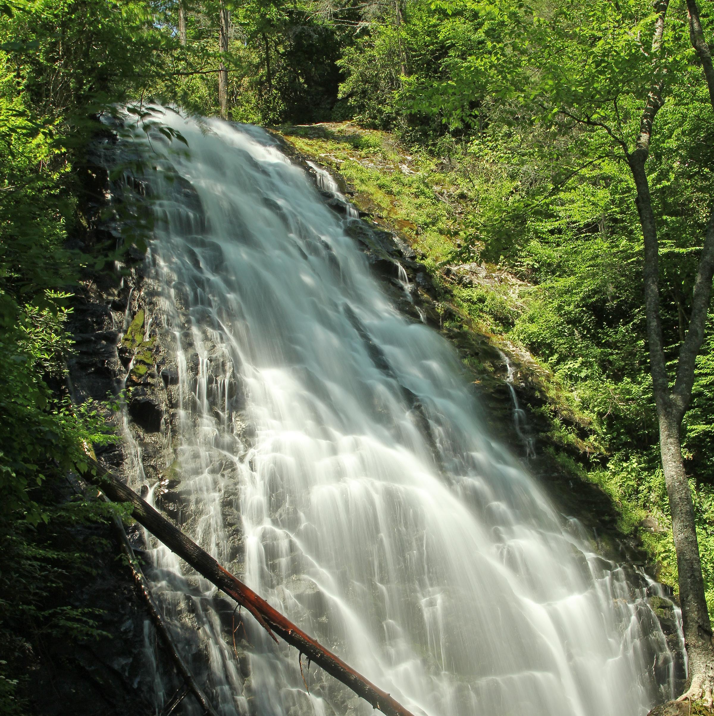 A waterfall surrounded by green, forest vegetation