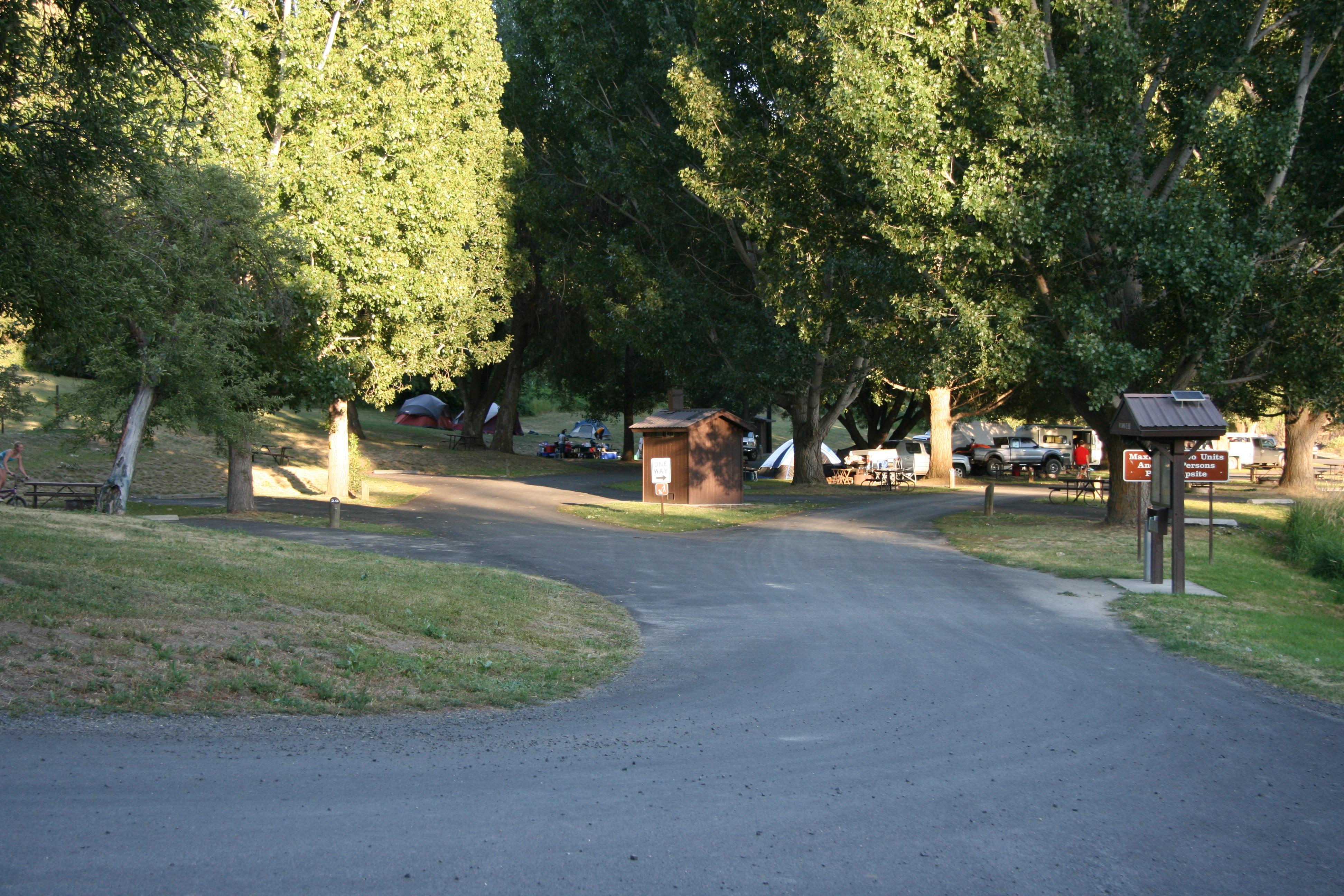 A cluster of tents and RVs are sheltered at campsites among the trees.