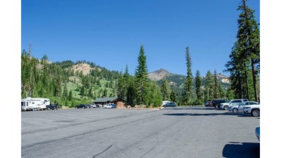 large parking lot with vehicles among pine trees, mountains behind