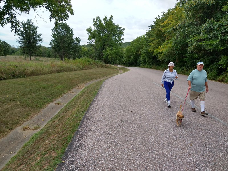 Tour Road A man and woman walk with their dog on a paved road edged by trees and fields