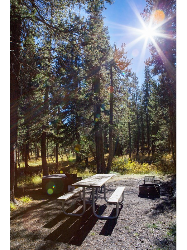 Empty campsite in Porcupine Flat Campground with picnic table, fire ring and sun shining