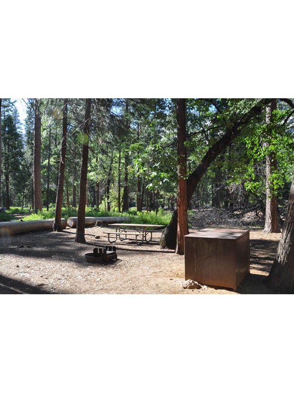 A campsite nestled in the trees includes a picnic table, firepit, and metal bear storage locker.