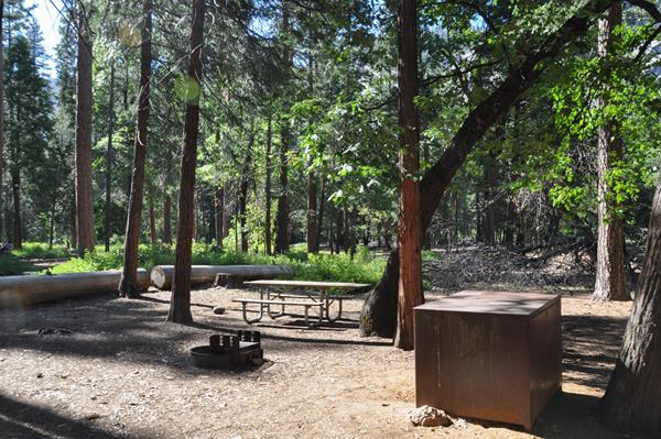 A campsite nestled in the trees includes a picnic table, firepit, and metal bear storage locker.