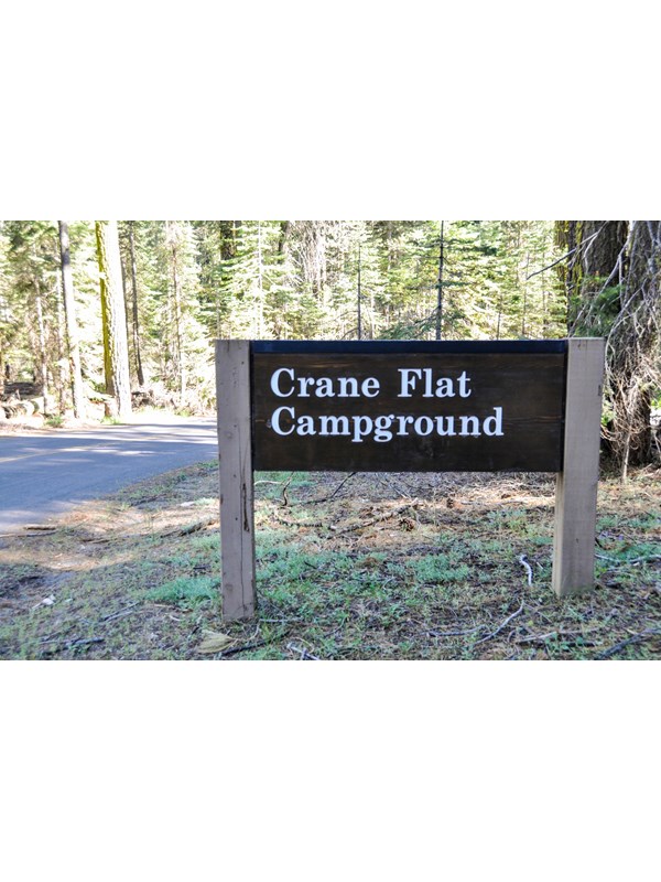 A wood sign at the entrance to a campground reads, Crane Flat Campground