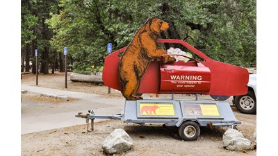 An exhibit of a bear reaching into a car window and holding food, is set up near a parking lot.