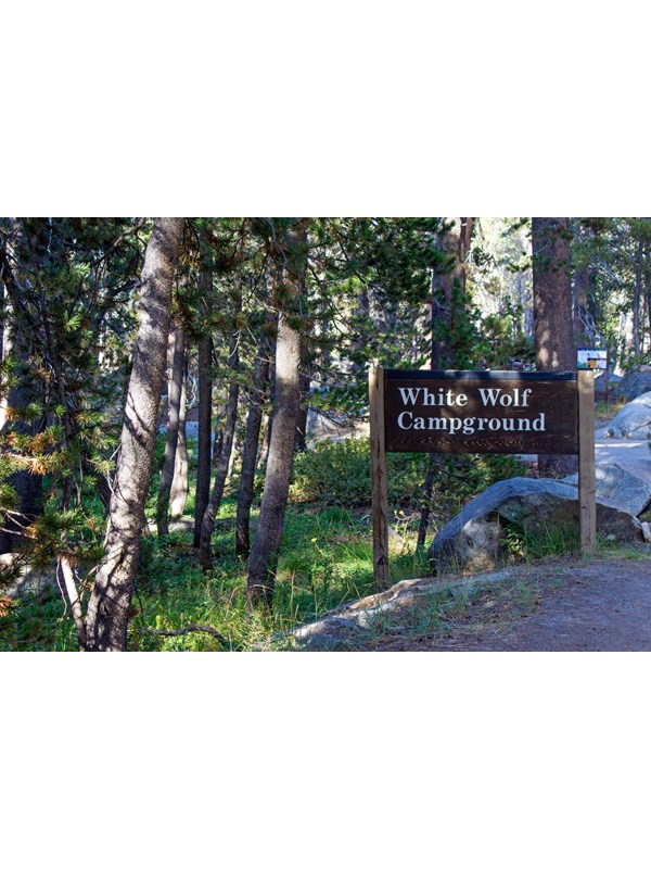 A wood sign on the side of a road reads White Wolf Campground.