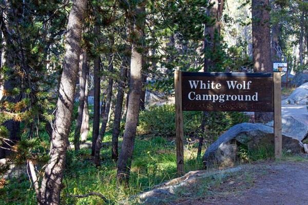 A wood sign on the side of a road reads White Wolf Campground.