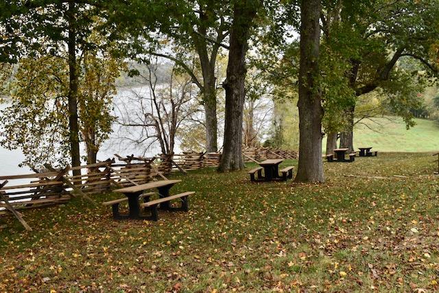 picnic tables