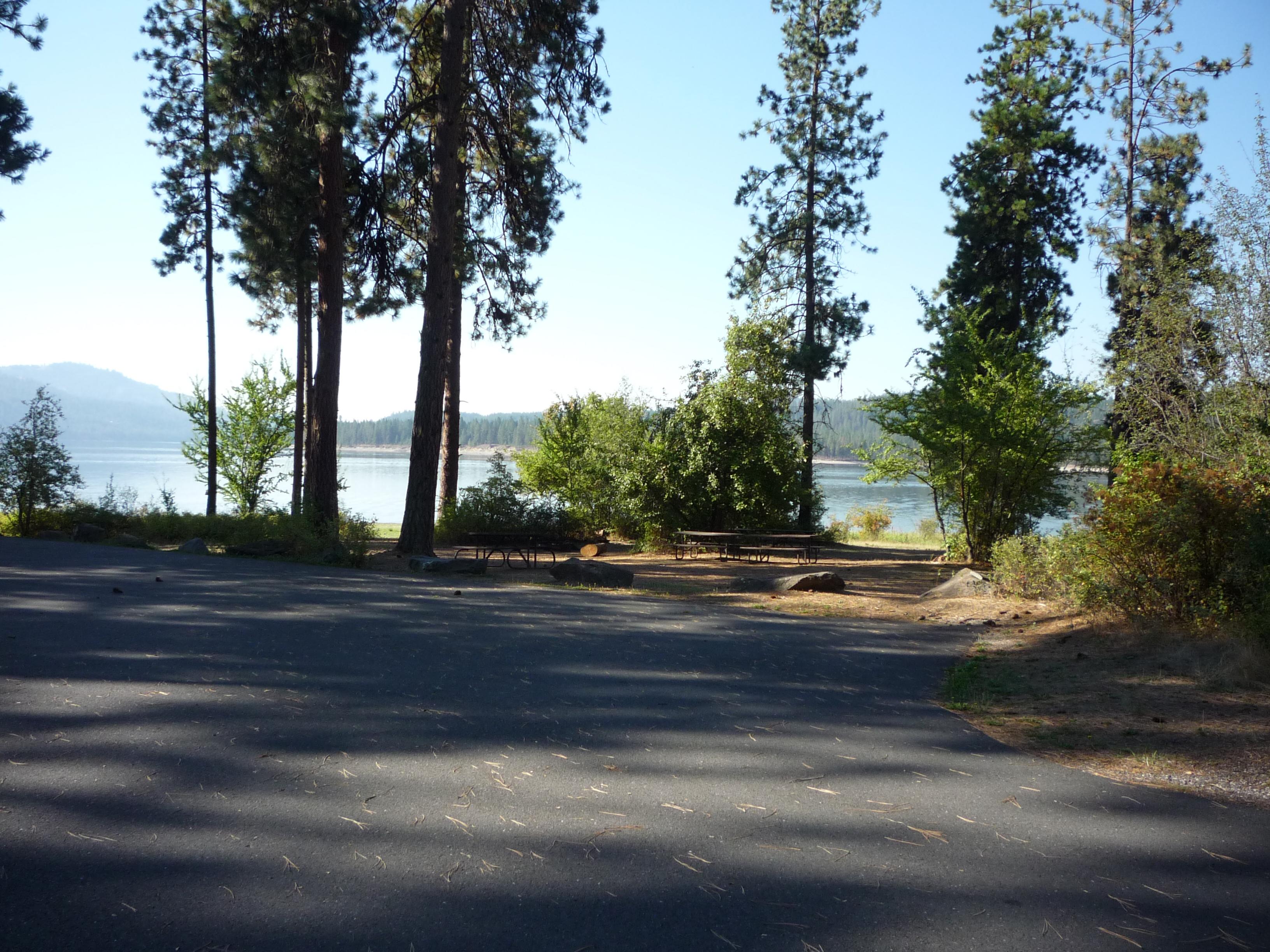 An open group camping site on the shoreline with trees and picnic tables.