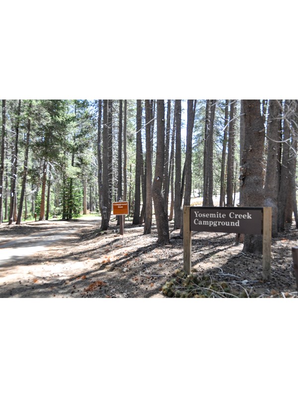 A wood sign at the entrance of a campground reads, Yosemite Creek Campground.
