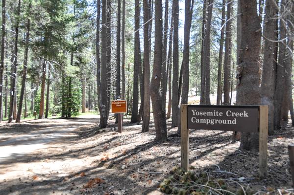 A wood sign at the entrance of a campground reads, Yosemite Creek Campground.