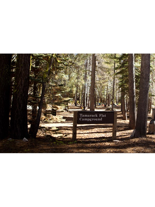 A wood sign at the entrance of a campground reads, Tamarack Flat Campground.