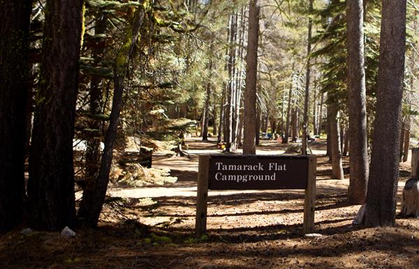 A wood sign at the entrance of a campground reads, Tamarack Flat Campground.
