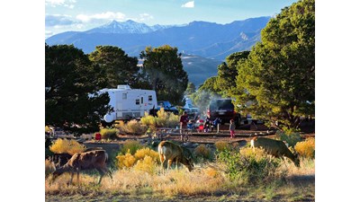 Deer graze beside tents and RVs in a campground, with dunes and mountains in the background