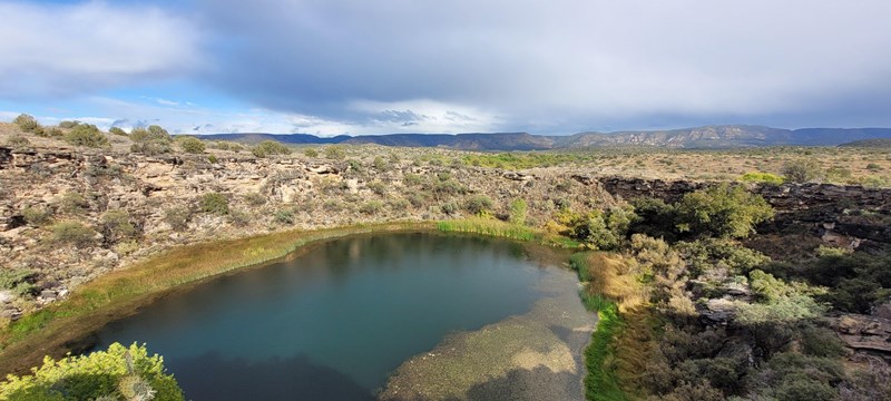 a blue sinkhole surrounded by algae, reeds, and cattails in a desert landscape