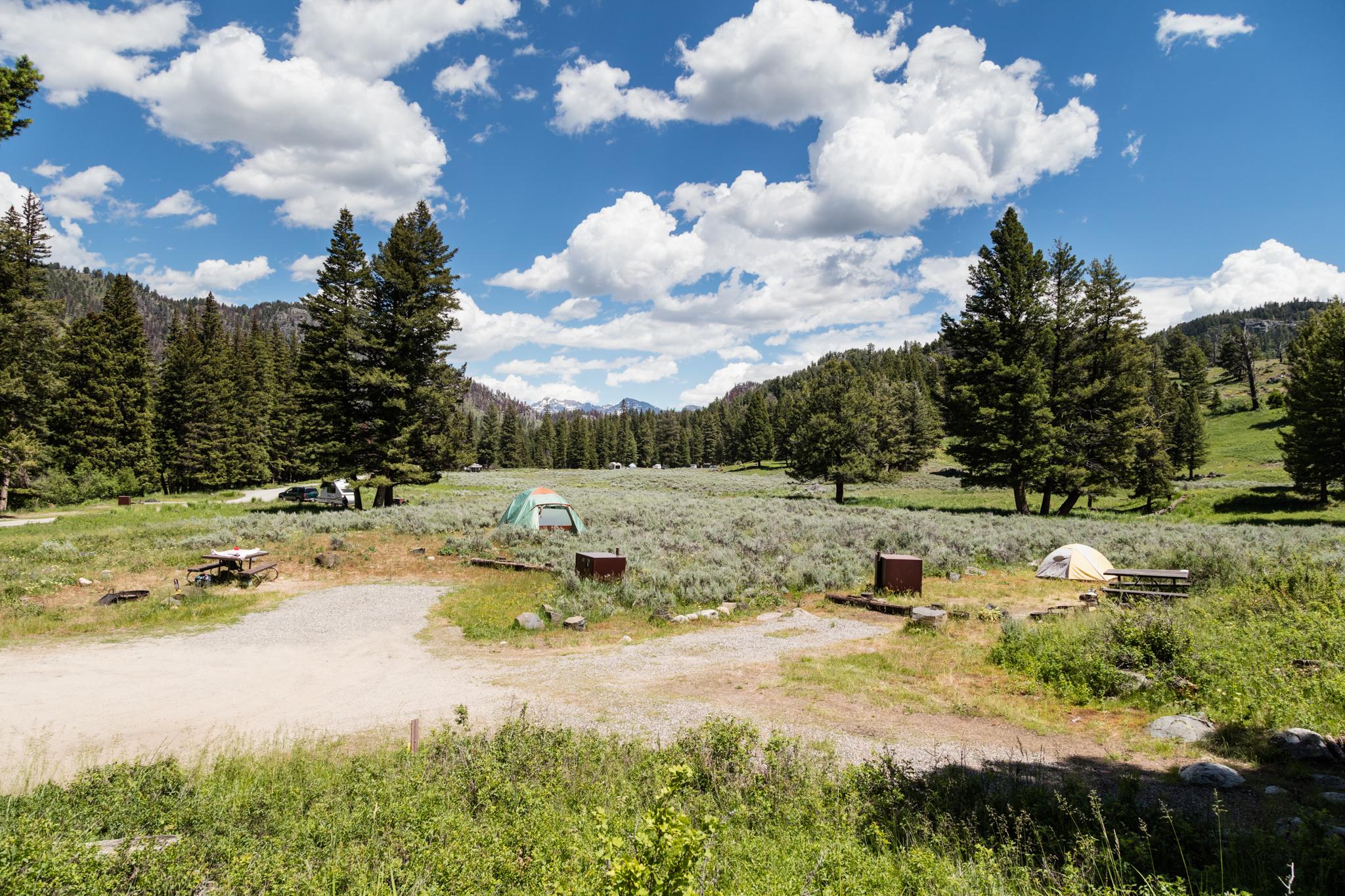 Campsites in the Slough Creek Campground
