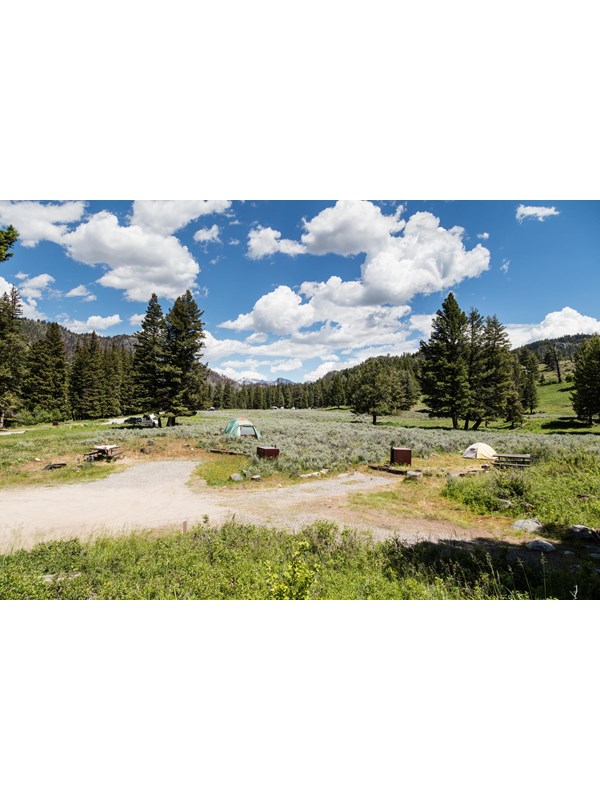 Campsites in the Slough Creek Campground