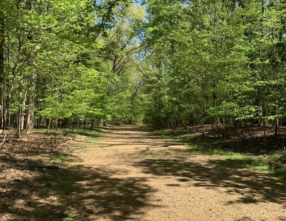 Guilford Courthouse National Military Park