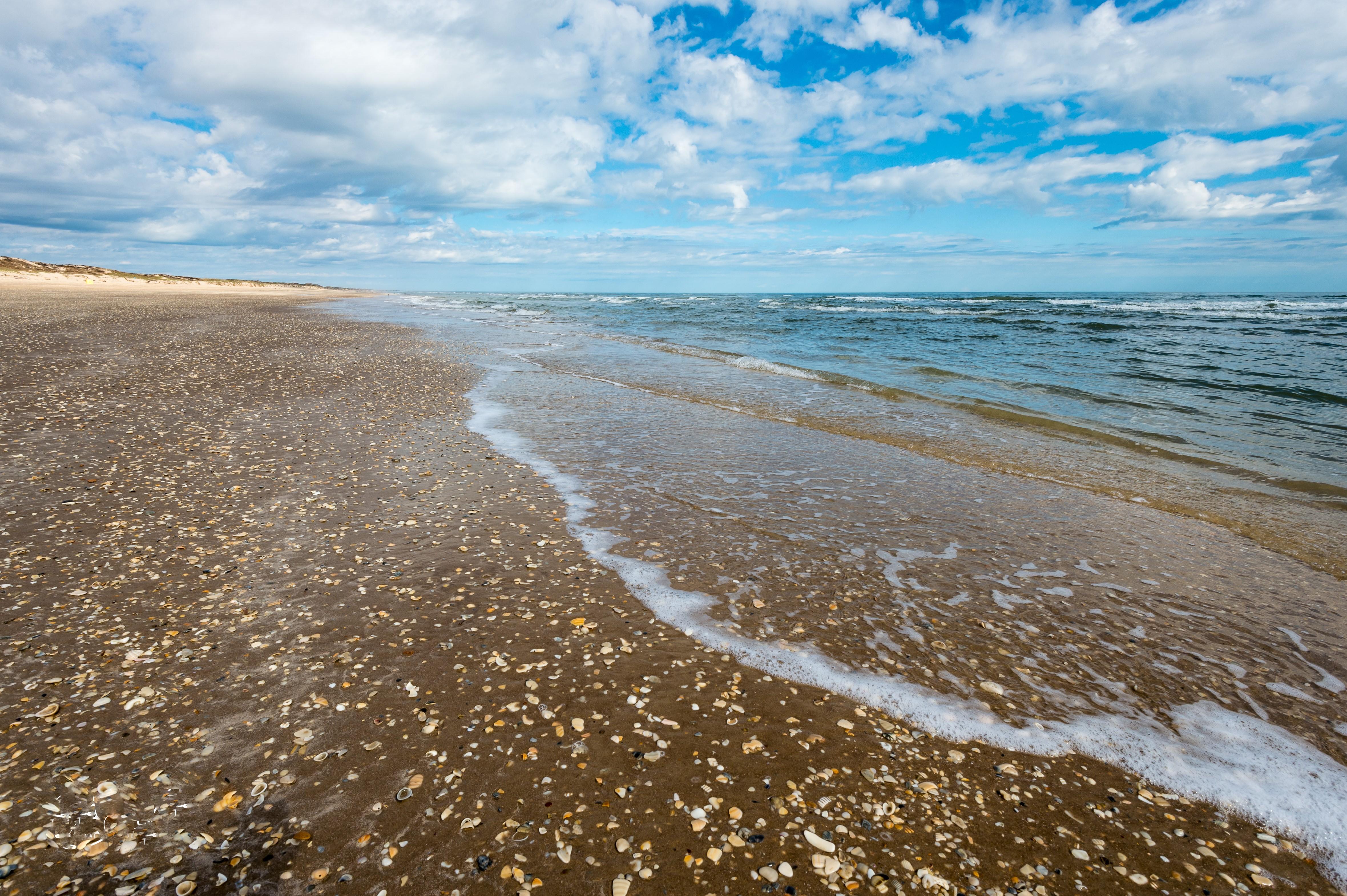 Small shell fragments in the sand long the beach.