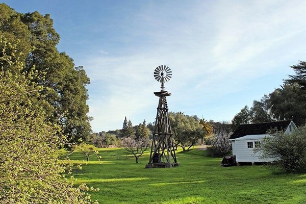 A tall wooden windmill and a small white shed surrounded by trees.