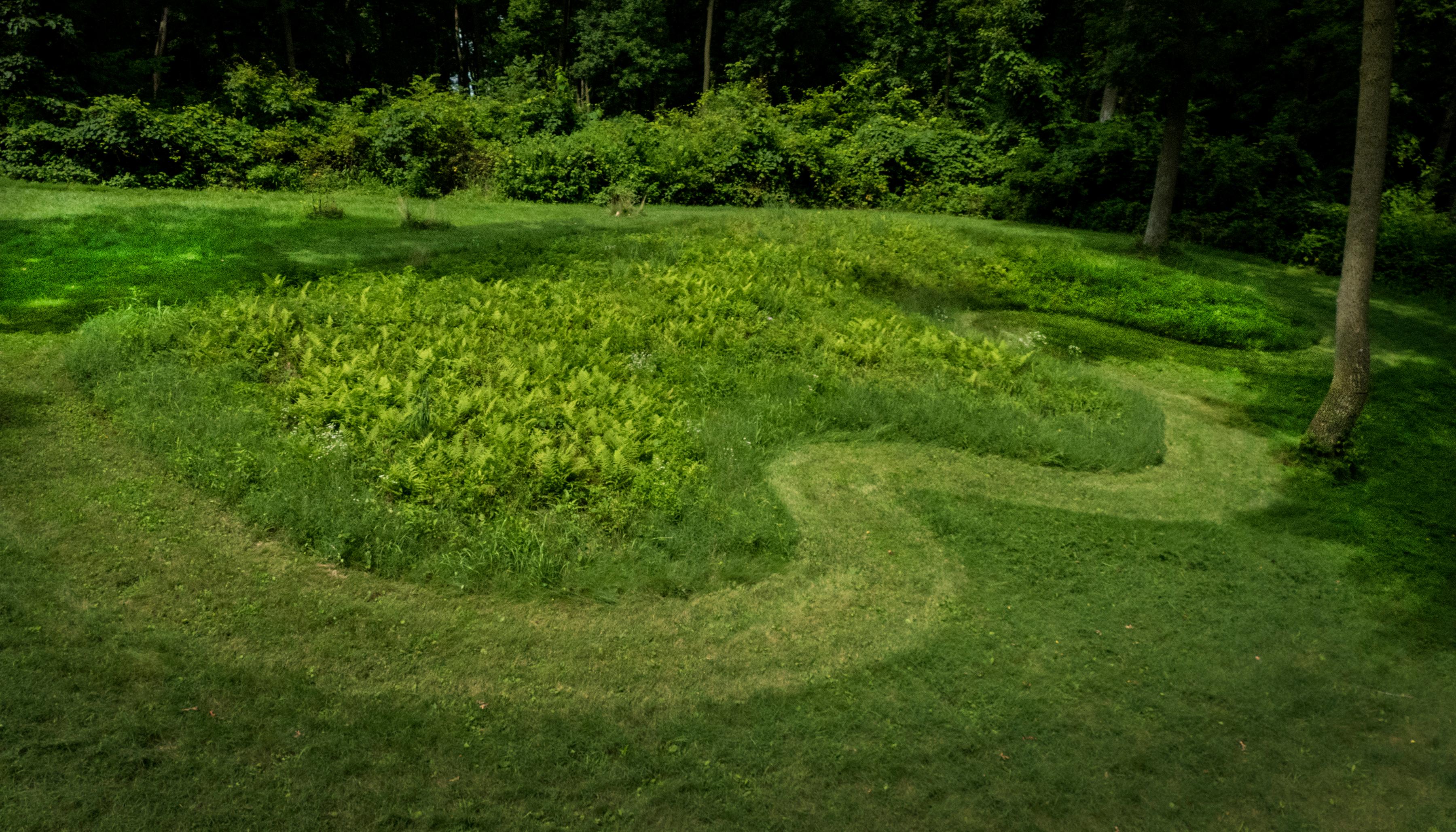 View from the air of a mound covered in short green vegetation with forest behind.