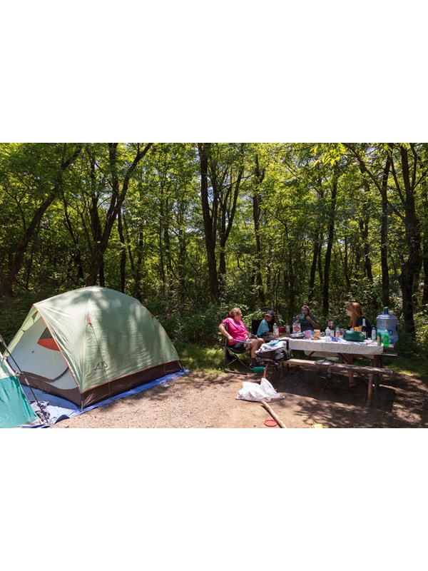 A group of people sit at a picnic table next to a tent under a canopy of green trees in a campground