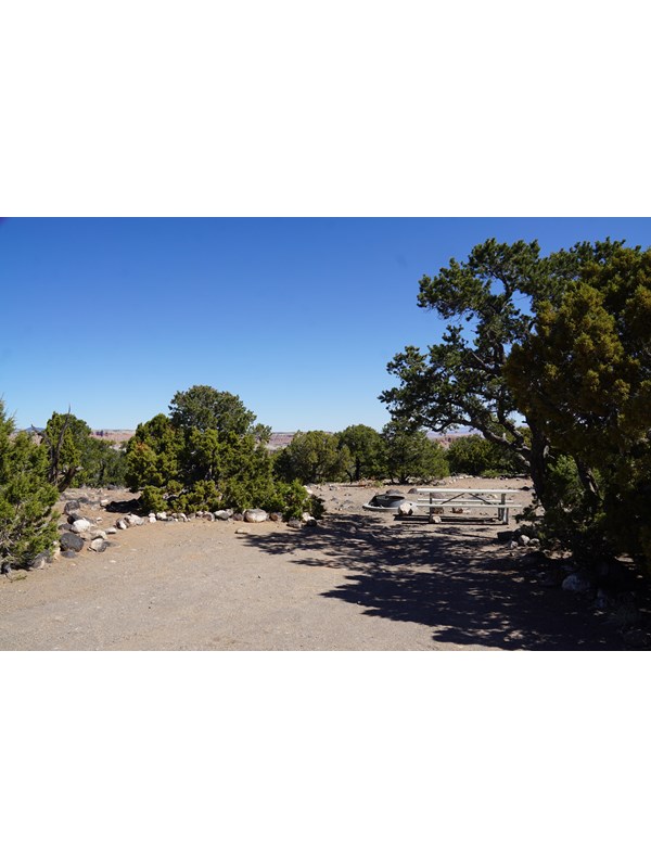 a dirt road passes a metal picnic table under juniper trees