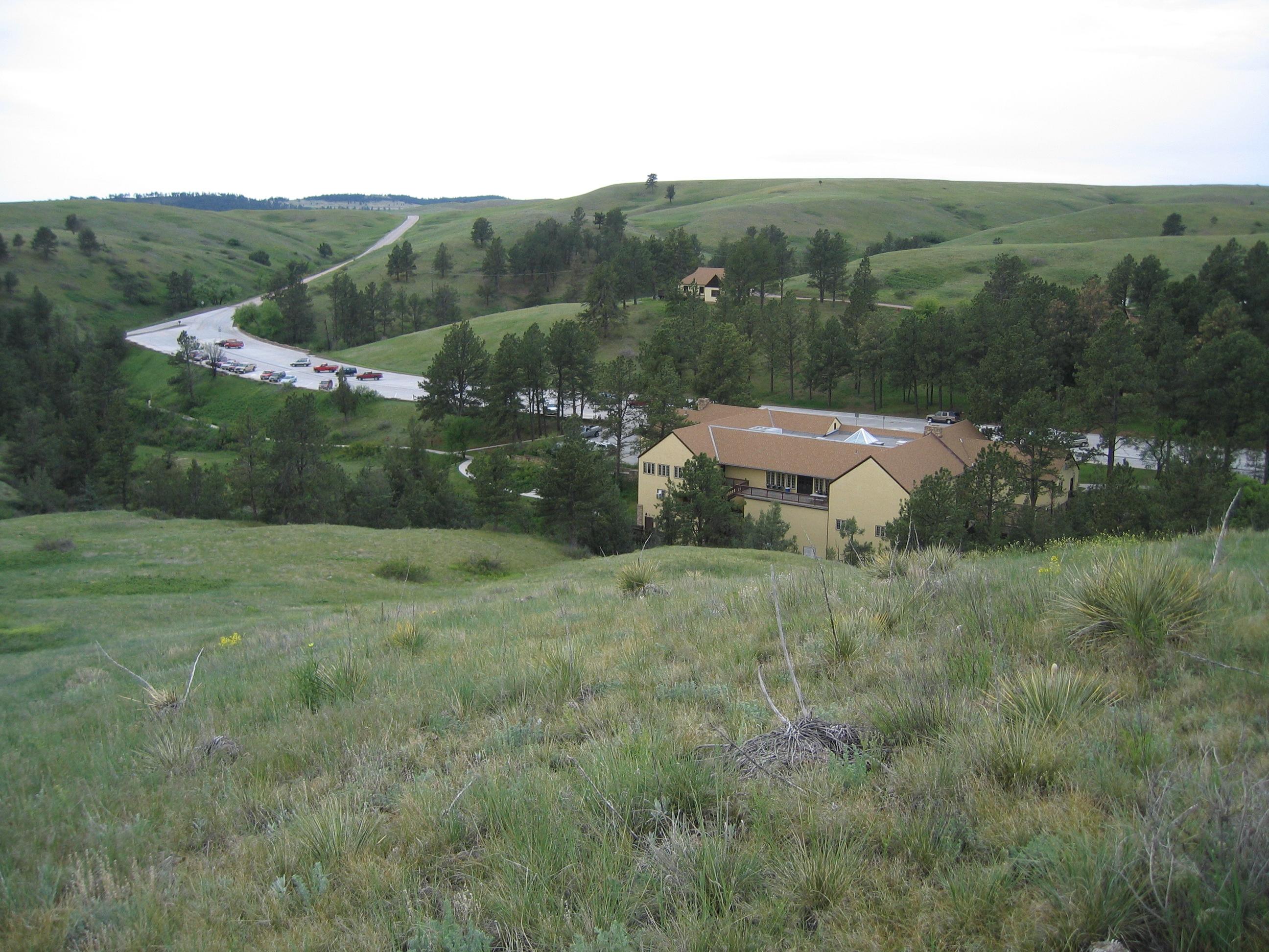 a yellow building with a brown roof surrounded by pine trees viewed from a tall grassy hill