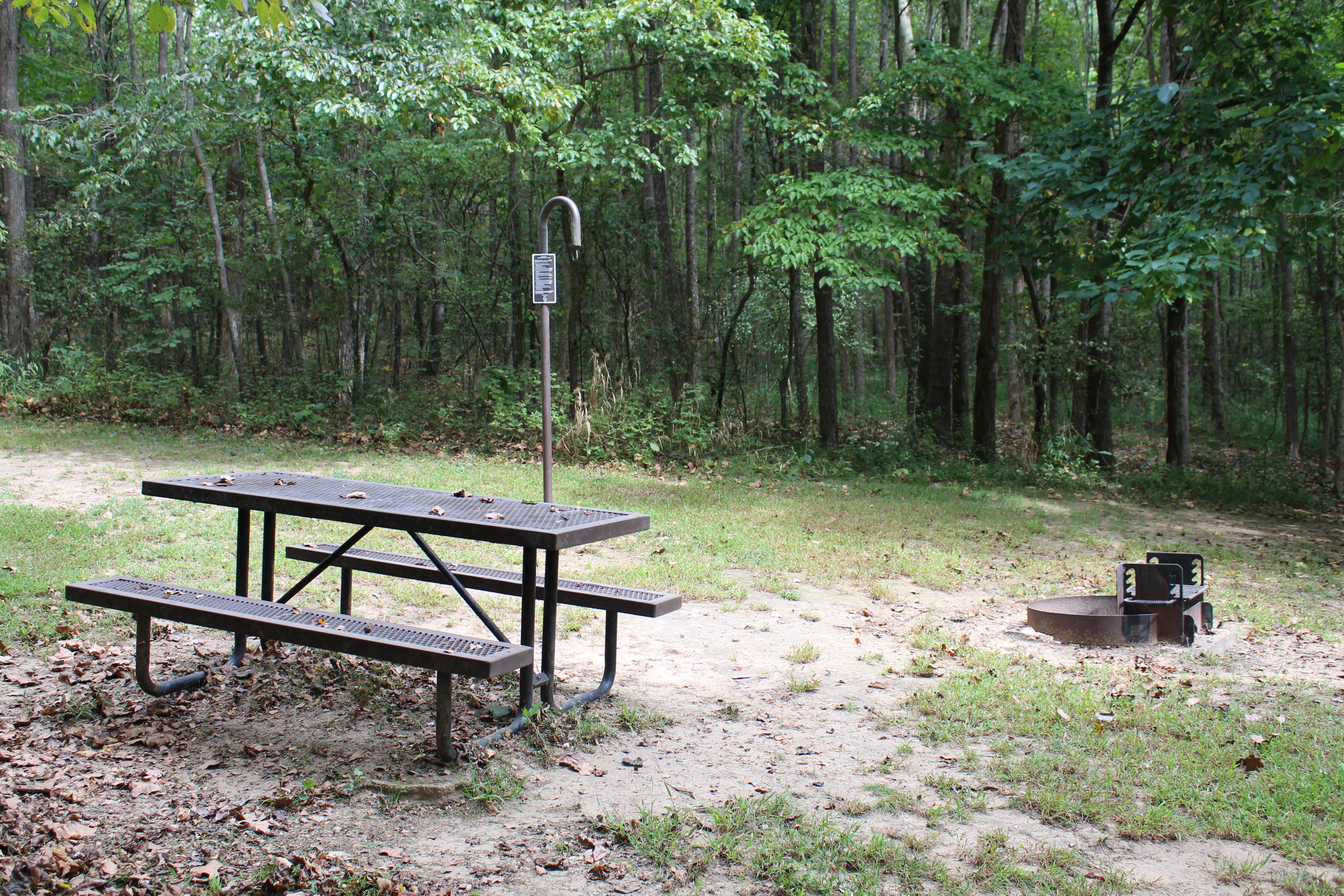 A picnic table and fire pit on a sandy grassy surface with forest surrounding.