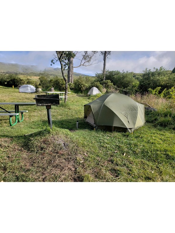 A gray tent is pitched next to a grill and picnic table. Tall shrubs and grass line the area.