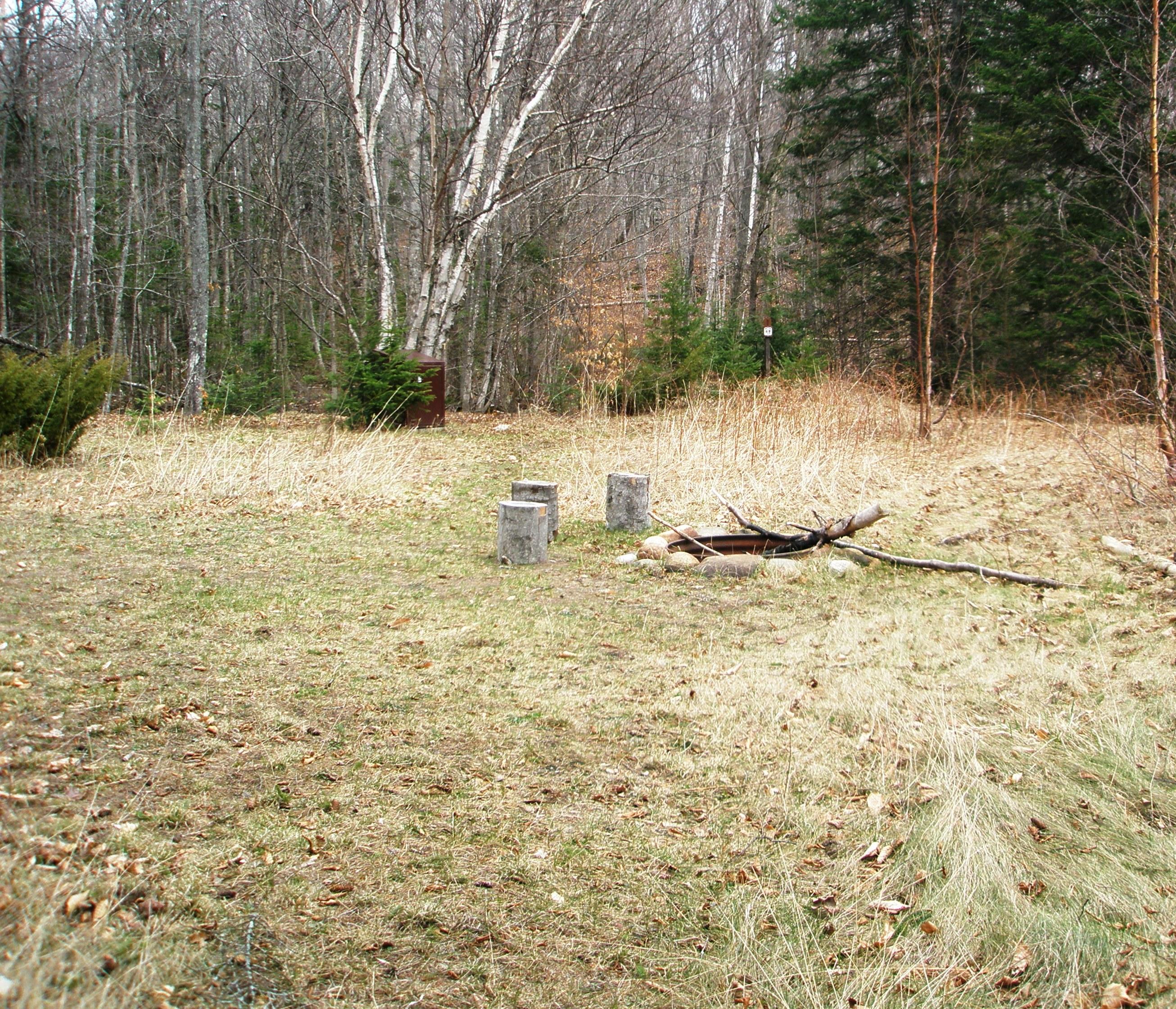 Metal fire ring and tree stump seats in a grassy field