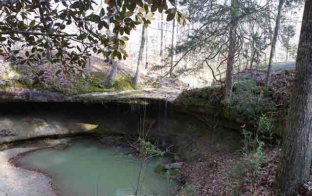 Owens Creek habitat Owens Creek habitat