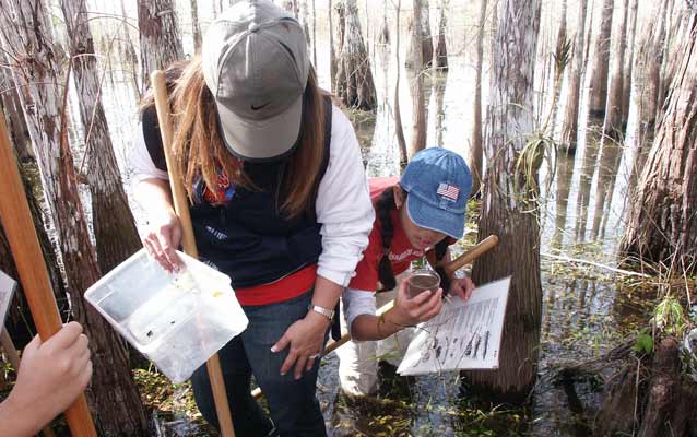 Students study a freshwater habitat