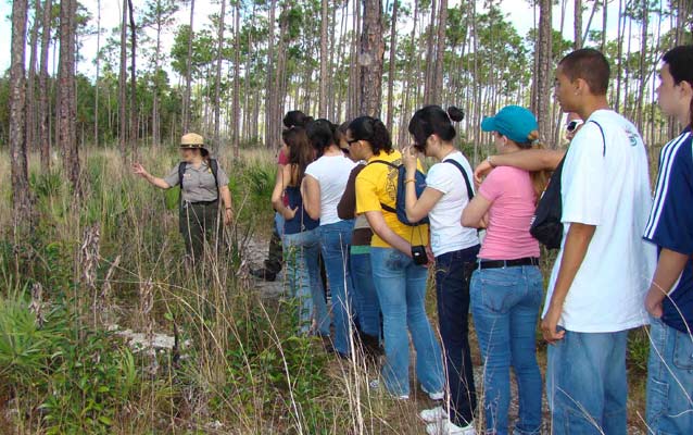 Students in the Pine Rockland habitat Students in the Pine Rockland habitat