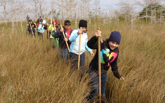 Students in the slough