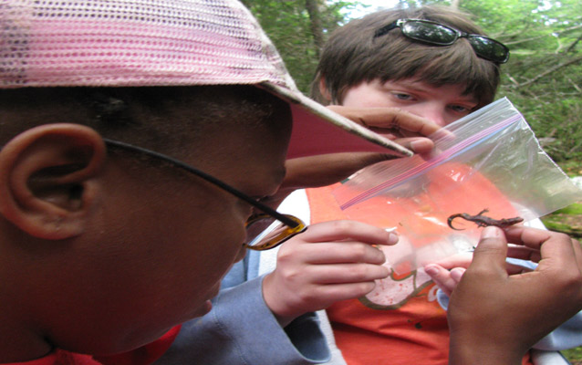 girl viewing salamander girl viewing salamander