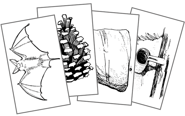 Cards showing a bat, a pine cone, a rock, and a polluting pipe Cards showing a bat, a pine cone, a rock, and a polluting pipe