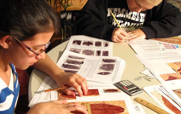 students classifying a fossil leaf students classifying a fossil leaf