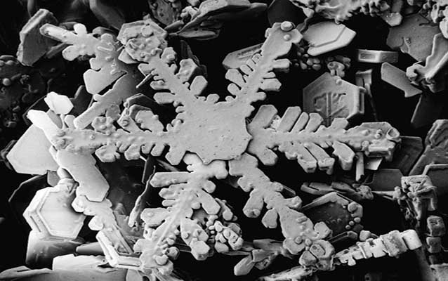 Magnified snow crystals Magnified snow crystals